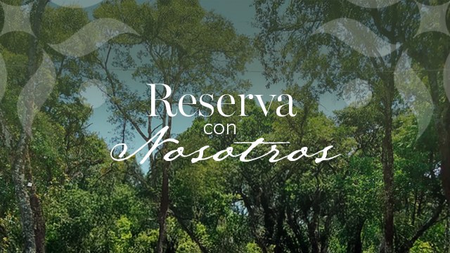 Reserva con nosotros en Casa Luna Tepoztlán